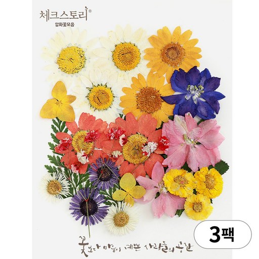 체크스토리 압화 누름꽃 꽃송이 압화공예 종합팩
