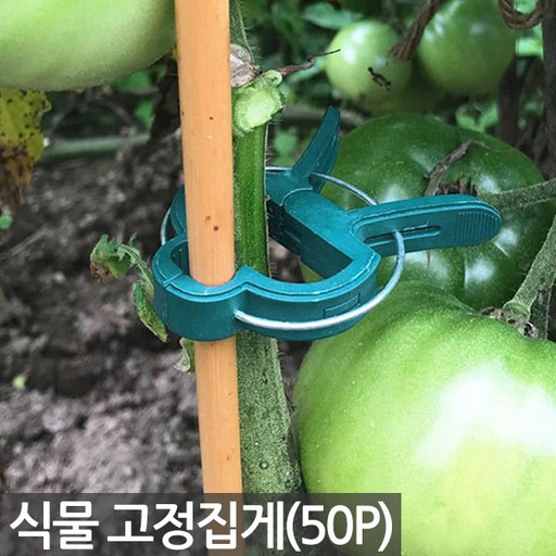 세인화분 식물 화분 고정 집게 50P - 혼합형