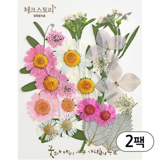 체크스토리 압화 컬러믹스 꽃모음 압화공예 2팩