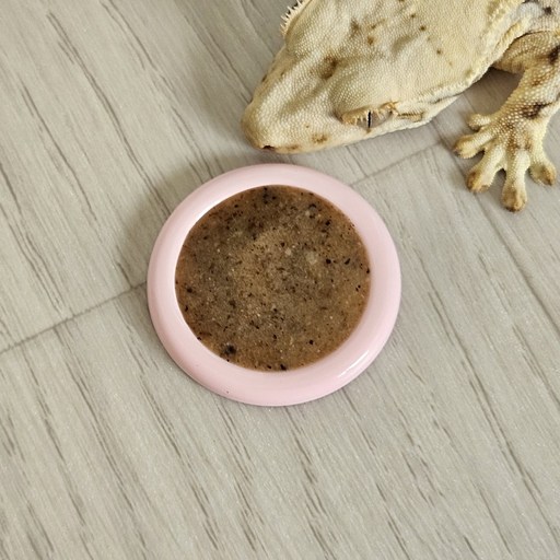 크레스티드 게코 이지클린 슈퍼푸드 밥그릇