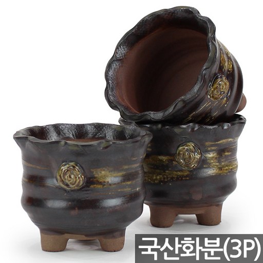 세인화분 국산 꽃 잔 다육 화분 3P - 다육이 화분세트