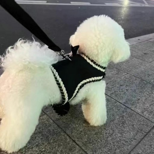 이지모먼트 반려동물 로즈 블랙 리본 강아지 하네스 + 리드줄세트