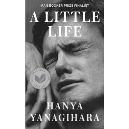 A Little Life: 2015년 전미도서상 맨부커상 최종후보작 해외도서