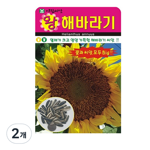 저스틴앤클로이 꽃양배추 홍린10립 채소잎