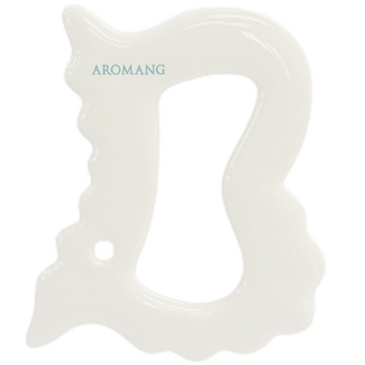 아로망 페이스 앤 바디 BB 괄사, 1개, 단일색상