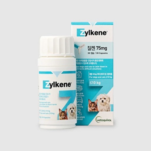 베토퀴놀 질켄 30정