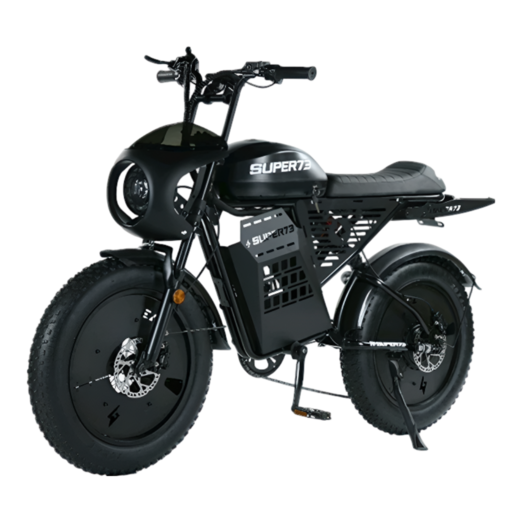 블루라이드 전기 자전거 20인치 펫바이크 mtb 전동 리튬 배터리 배달 여행 레트로 바이크