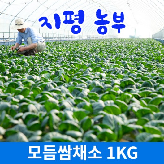 [물맑은 양평] 지평 농부 모듬쌈채소(1kg), 1kg, 1개