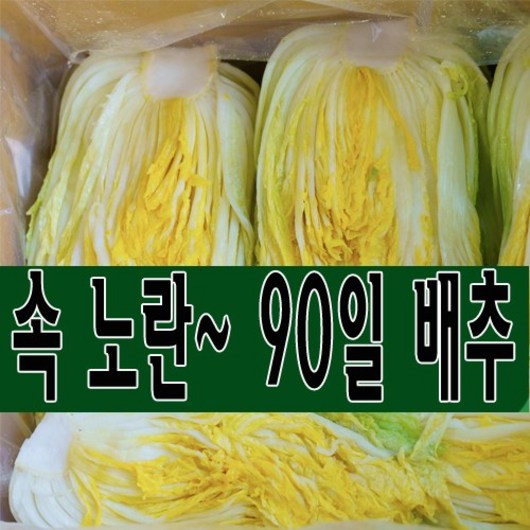 속 노란 90일 배추 괴산 절임배추 20kg (7-10포기) 도착일을 선택해주세요., 도착일 11월 11일 지호네농장배추