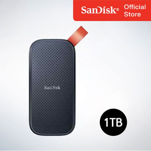 샌디스크 Portable SSD E30, 1TB, 블랙 외장ssd2tb