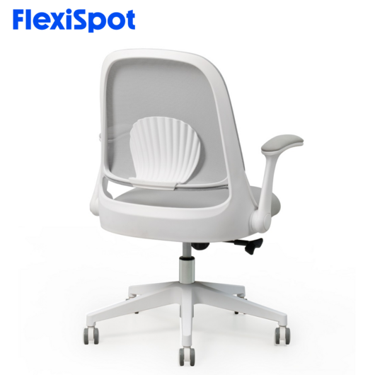 FlexiSpot 조개등받이 책상의자 컴퓨터의자 공부 학생 의자 OC5, 그레이