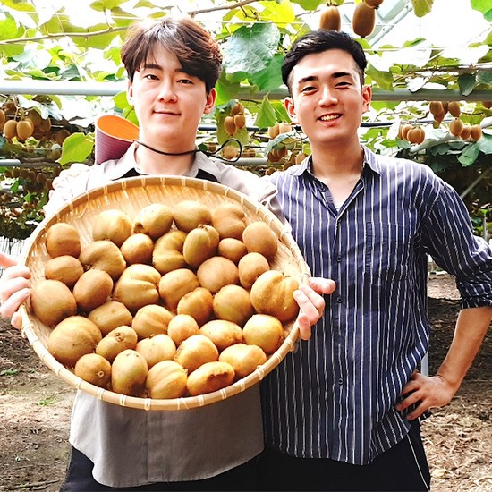 레드키위 3kg: 맛과 영양 가득한 겨울 제철 과일, 최고의 선택 가이드