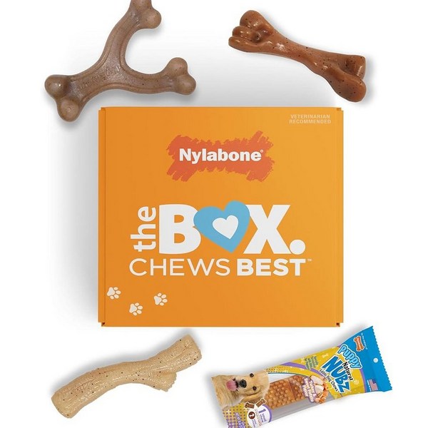 Nylabone 강아지 선물 상자