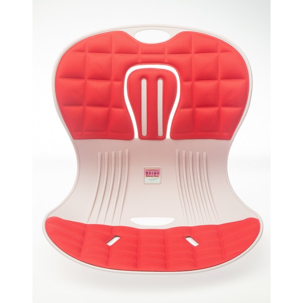 (특허획득)바른자세의자 밸런스체어 냉.온찜질팩기능 체형보정 허리보정 좌식의자, 핑크+그레이+레드