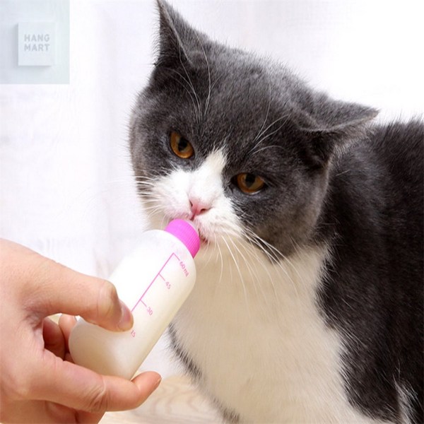 행마트 강아지 고양이 젖병