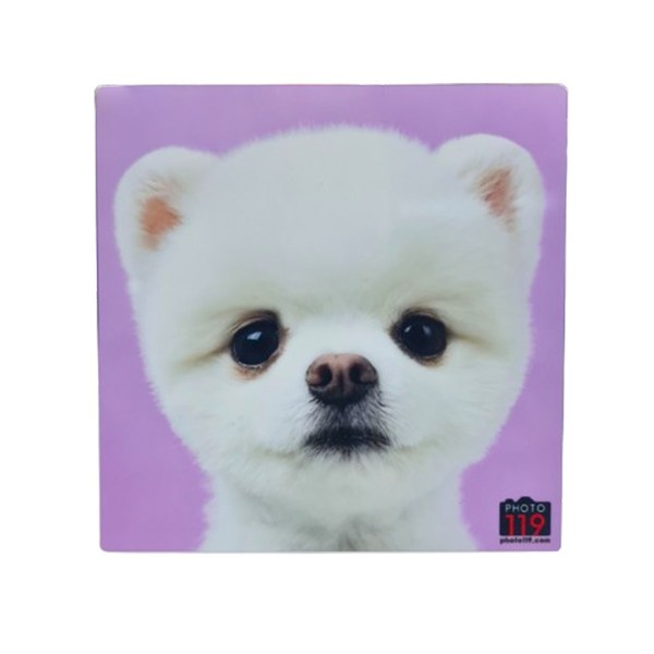 아크릴액자 사이즈별 주문제작, 블랙