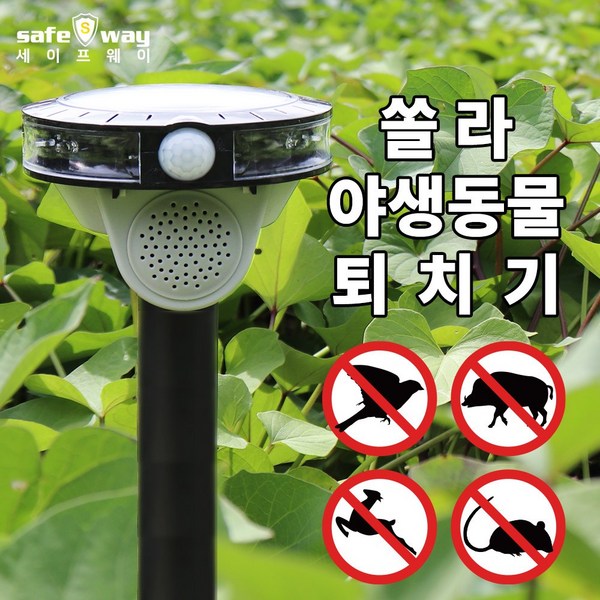 세이프웨이 야생동물 퇴치기