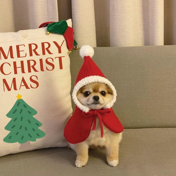 프로덕타운 강아지 크리스마스 고양이 크리스마스 옷