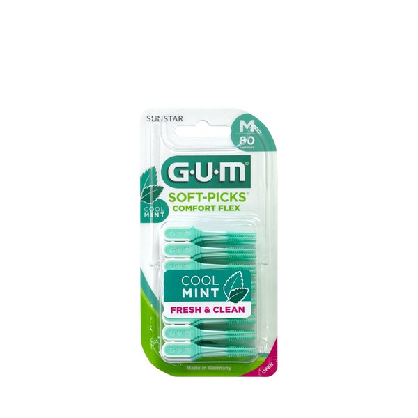 GUM 검 치간칫솔
