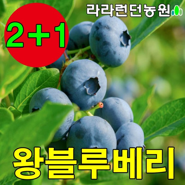c3d3319261481fda4905067faa9f8ea3e17e1f4ecabb20fc3ffbbe2e9c0f.jpg