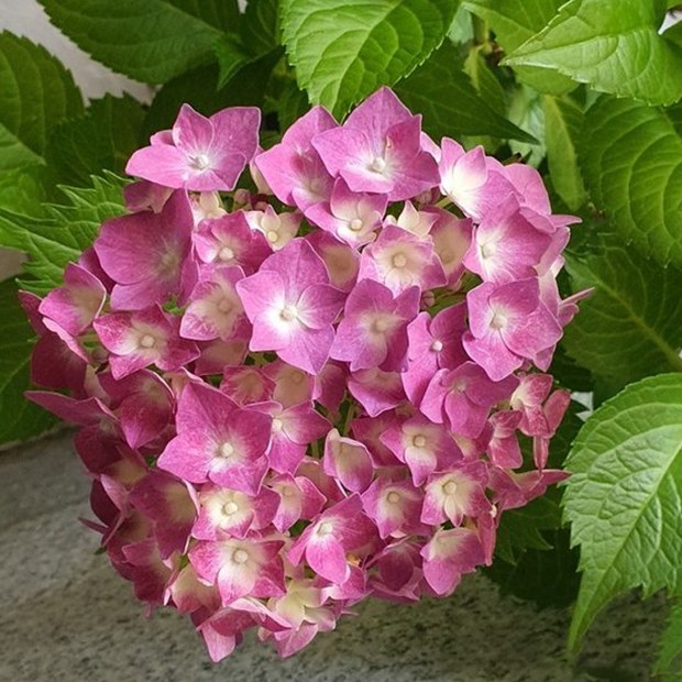 b64de81b8f565c28b217c0dbf1b00b23c4751d193901ef5be73252c88c33.jpg