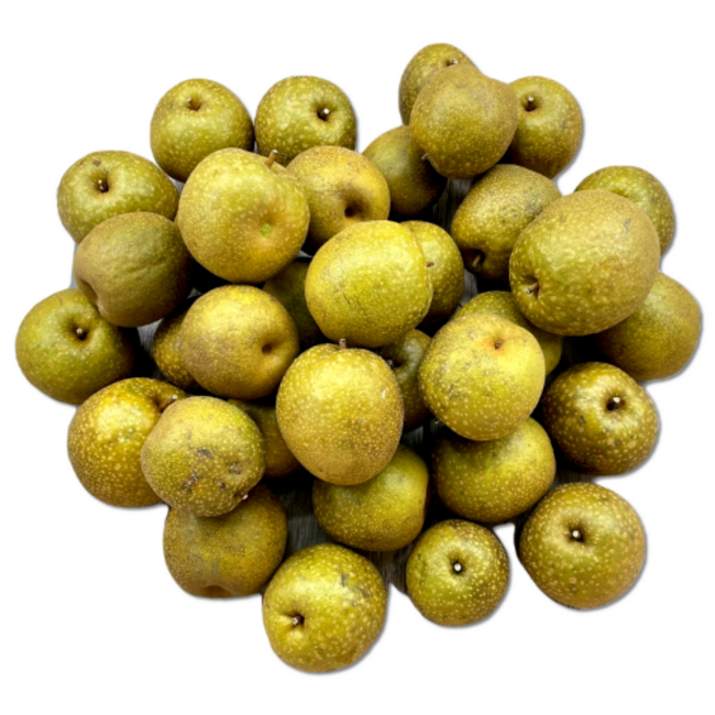 e1d667c3c7cabe26344a82983bb3b5ac03a2e6b382e44acfb8c37a50a1f4.png