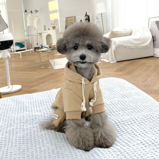 추천8 강아지 옷 후드티