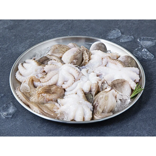 바이오션 주꾸미 (냉동), 500g(20~25마리), 1개