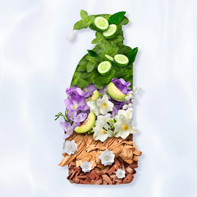 헤드앤숄더 가려운 두피 케어 샴푸, 850ml, 1개