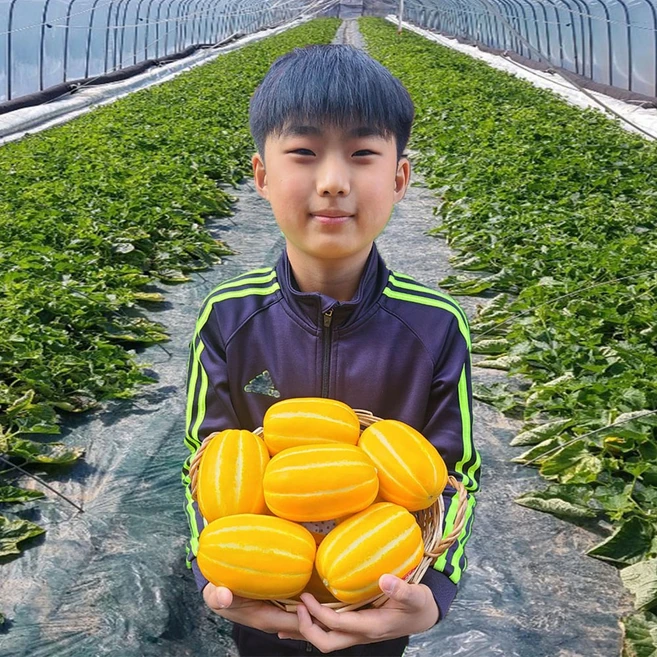 성주참외 용암 못난이 가정용 고당도 2kg 5kg 10kg 꼬마 꿀참외 한입 꽁알 선물용, 참외 가정용 3kg 랜덤과, 1개, 3kg