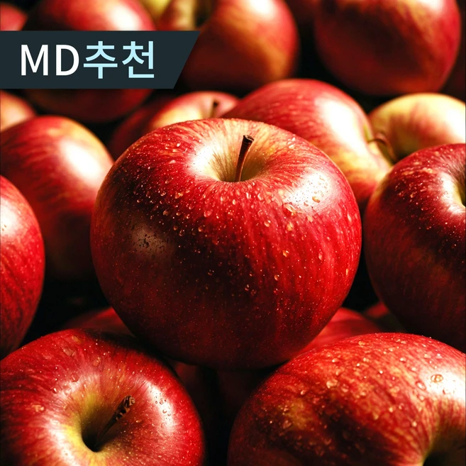 꿀당도 아삭한 햇 부사사과 가정용 대용량 5kg 10kg, 1박스, 5kg 한입과 26-32과