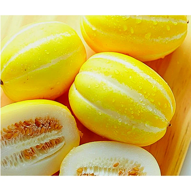 극강꿀맛 15brix 고당도 산지직송 성주꿀참외, 1박스, 2kg 꼬마(17과 내외)