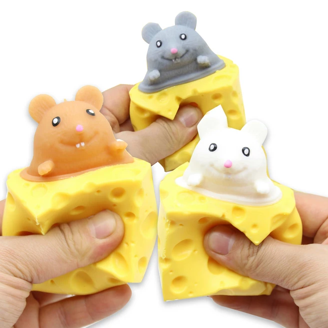 추천6 다람쥐 말랑이