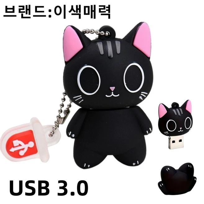 추천9 usb 2.0 256
