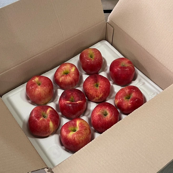 [산지직송] 신선한 경북 꿀사과 자연의 달콤함! 가정용 실속형, 1박스, 가정용)빨간사과 5kg(31-37과)한입