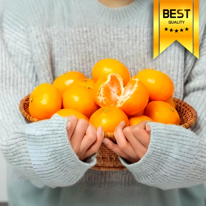 [3월마지막물량] 시즌종료행사 15brix고당도 달콤한 천혜향, 1개, 3kg 로얄혼합(10-15과내외)
