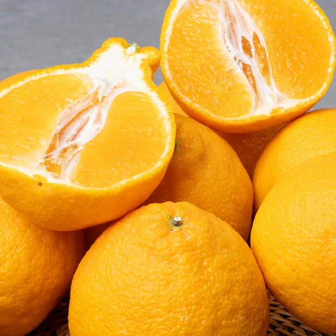 [작년판매1위] 당도선별 15brix 한라봉, 1박스, 5kg