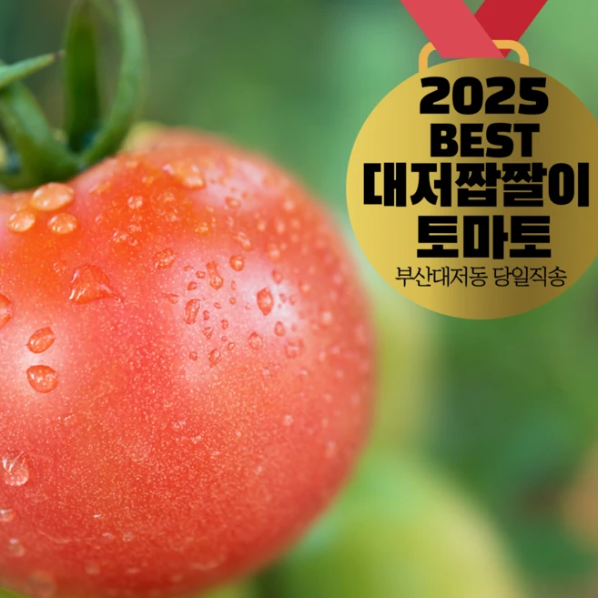 [30년째농사 부산 대저동 산지직송] 대저 짭짤이 토마토 S~2S 1키로 2.5키로 대저토마토 M L 2.5키로, 1박스, 대저짭짤이 2.5키로 로얄과(S~2S)