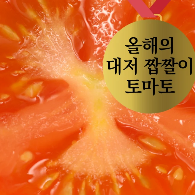 [30년째농사 부산 대저동 산지직송] 대저 짭짤이 토마토 S~2S 2.5키로 대저토마토 M L 2.5키로, 1박스, 대저토마토(L) 2.5키로