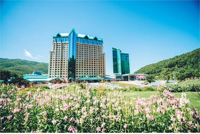 [정선군] 하이원 그랜드 호텔 메인타워