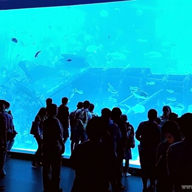 [싱가포르] 센토사 씨 아쿠아리움 (바코드 바로입장)