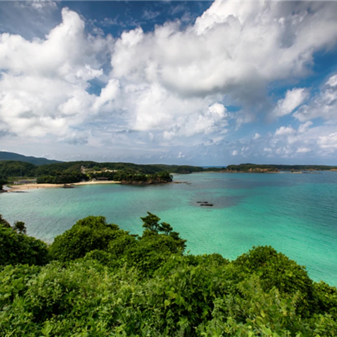 [히타카츠] #모두투어 ★출발확정★[당일투어][관광/면세점+버스+가이드 동반] 대마도 1일 (연합) #대아고속 #BJC650SFJ1