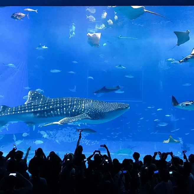 [오키나와] #모두투어 ★출발확정★[힐튼호텔2박][MODE DAY] 오키나와 패키지 3일 #이스타항공 #BJP663ZE3T