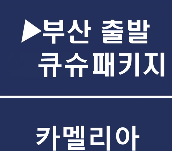 [부산출발] [큐슈][투어민족] 가성비甲 카멜리아 하카타역 시내숙박 후쿠오카 3일