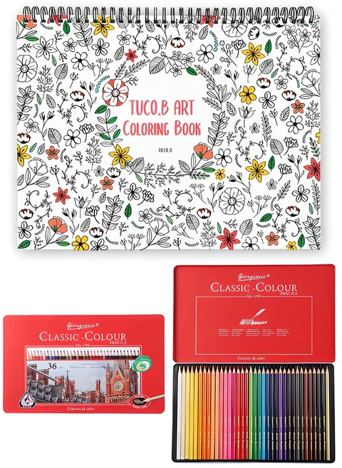 아트 컬러링북 플라워 스프링 랜덤발송 + 조르조네 삼각 유성색연필 36색, 투코비