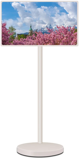 LG전자 FHD LED 스탠바이미 TV, 68cm(27인치), 27ART10DSPL, 스탠드형, 고객직접설치