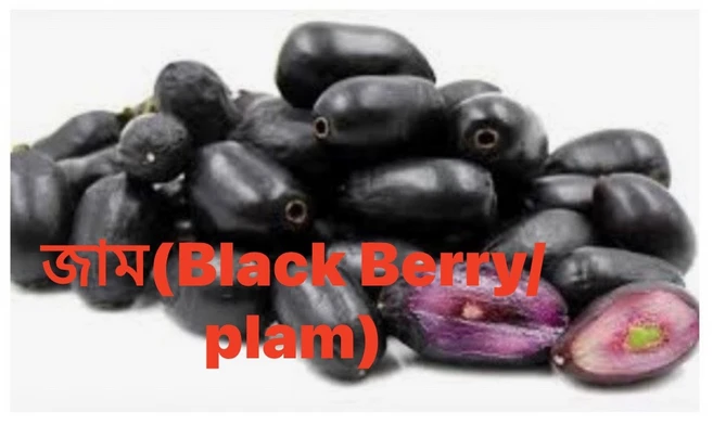 S.N. FOOD FROZEN BLACKBERRY(PLUM)(냉동 블랙베리)방글라데시과일500g (1+1)세일 총2팩, 미개봉상태에서 24시안으로 반품가능, 500G, 2개