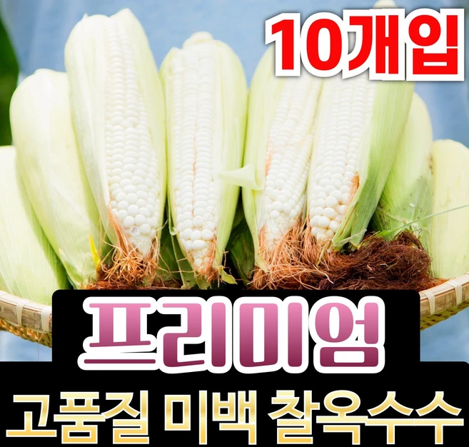 [생산자직송 특품] 강원도 고랭지 햇 초당옥수수 생 미백찰옥수수, 1개, [특품] 옥수수 10개입