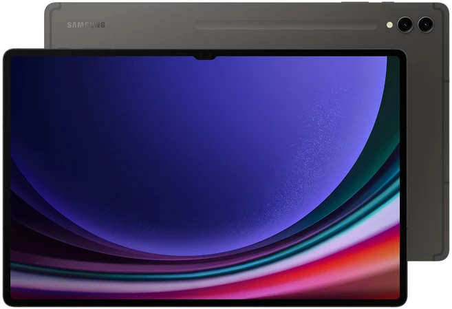 삼성전자 갤럭시탭 S9 울트라, 그라파이트, 256GB, Wi-Fi