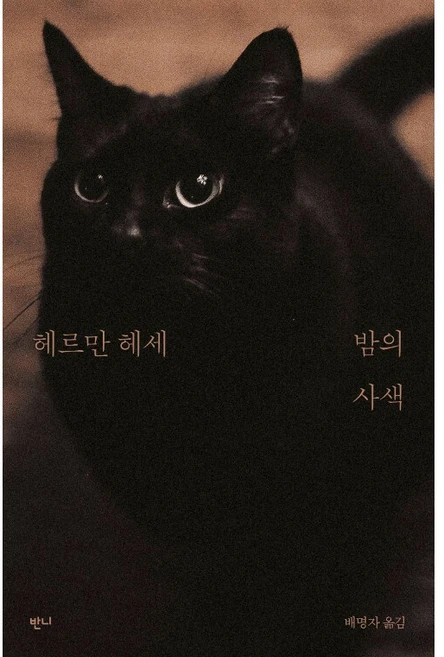 밤의 사색, 헤르만헤세, 반니